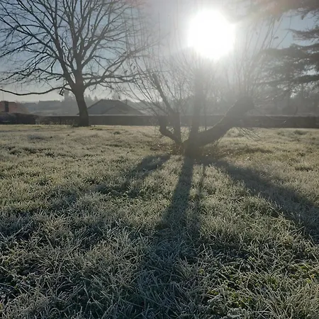 La Trimouillaise * La Trimouille