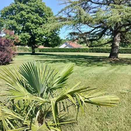 La Trimouillaise Frühstückspension La Trimouille