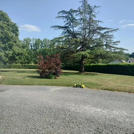 Bed & Breakfast La Trimouillaise La Trimouille