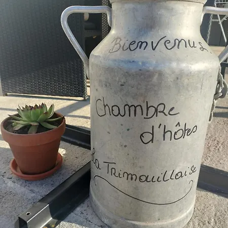 La Trimouillaise Bed & Breakfast *
